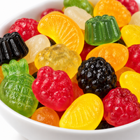 De Bron Fruitgums Sugarfree
